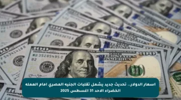 أسعار الدولار.. تحديث جديد يشمل تقلبات الجنيه المصري أمام العملة الخضراء الأحد 31 أغسطس 2025
